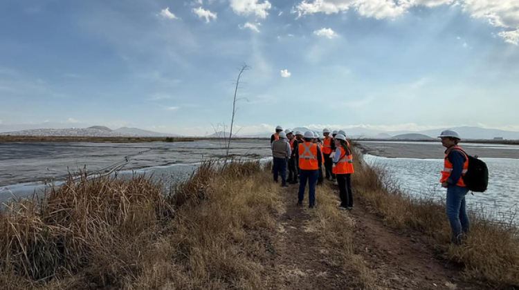 group of people cleaning dunes